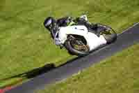 Advanced Group White Bikes